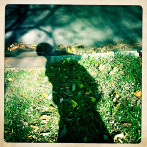 黑人几巴免费观看视频
